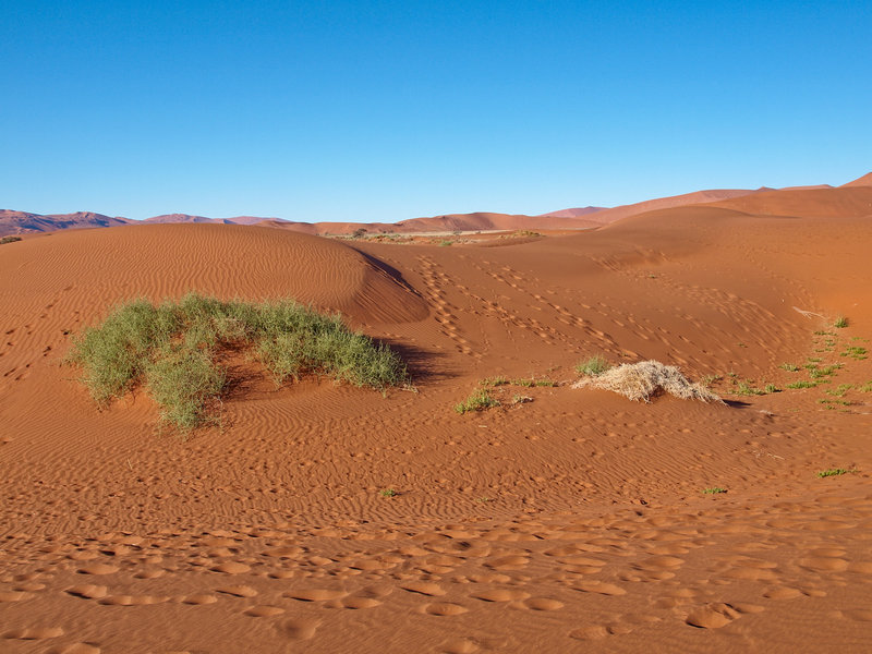 Sossusvlei